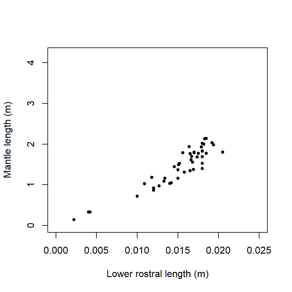 Regression of mantle length on lower rostral length